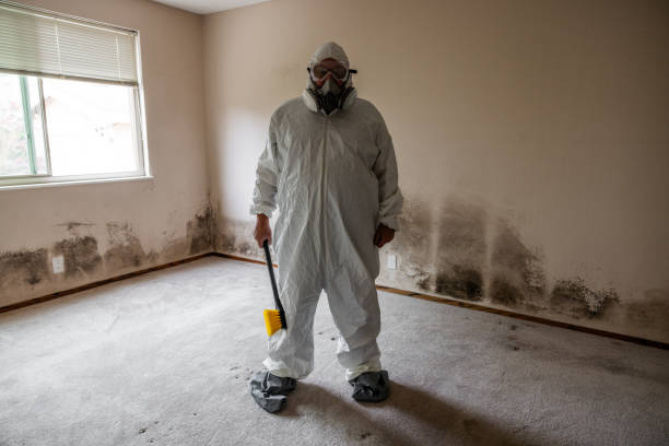 Trusted Grafton, ND Mold Remediation Experts